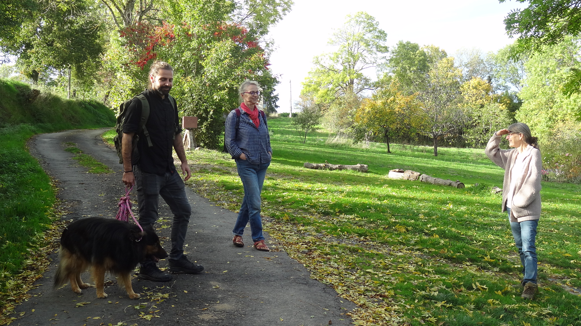 Randonnée pédestre