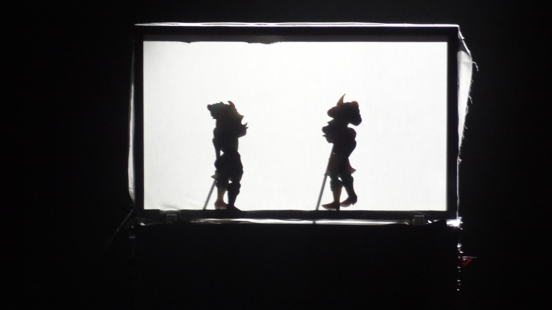 Le théatre d'ombre de Walid