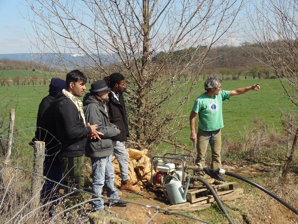 Irrigation