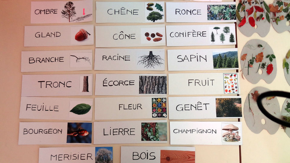 Thé Café Décembre