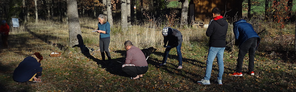Thé, Café, Arbres et Citoyens