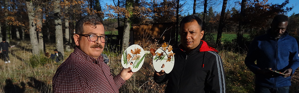 Thé, Café, Arbres et Citoyens
