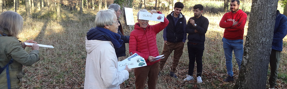 Thé, Café, Arbres et Citoyens