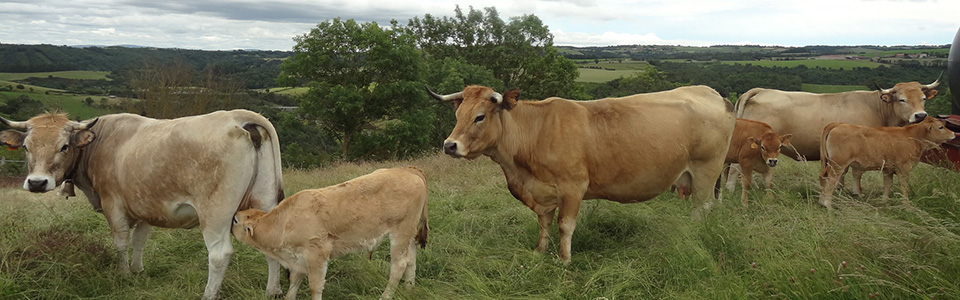 grenier-montgon-5-pano