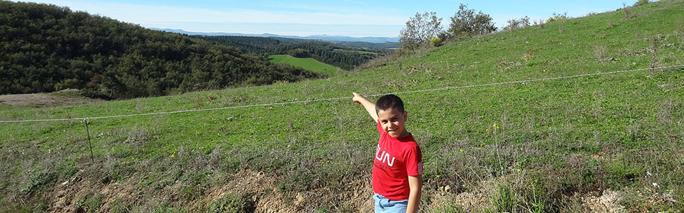 Randonnée pédestre