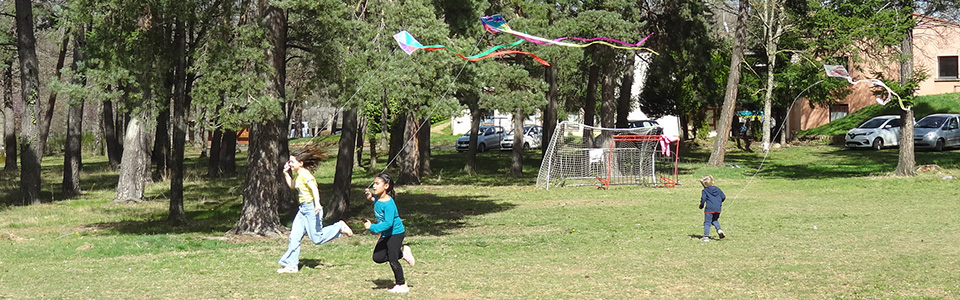 250405-familles-cerfsvolants-02-pano.jpg