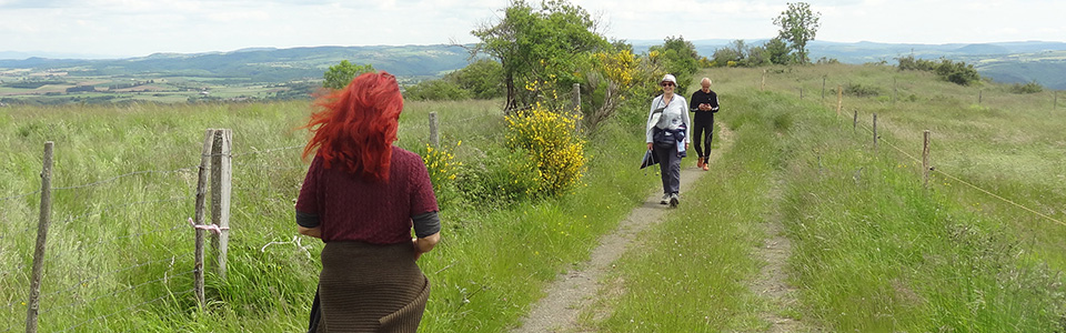 250525-randonnee-12-pano.jpg 250525-randonnee-12-pano.jpg