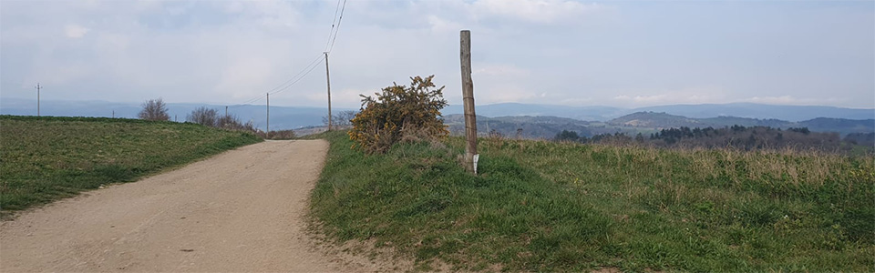 Randonnée pédestre