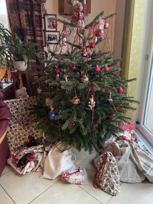 Pochons-sous-le-sapin