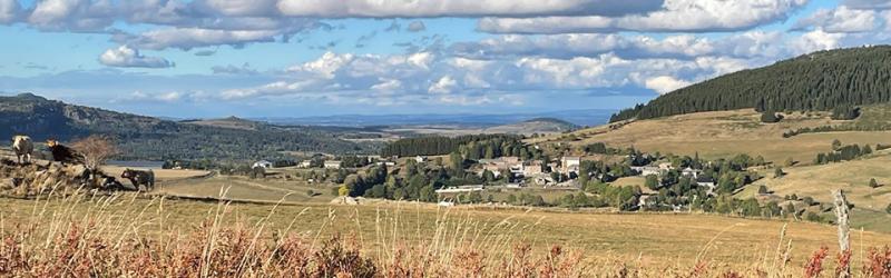 paysage