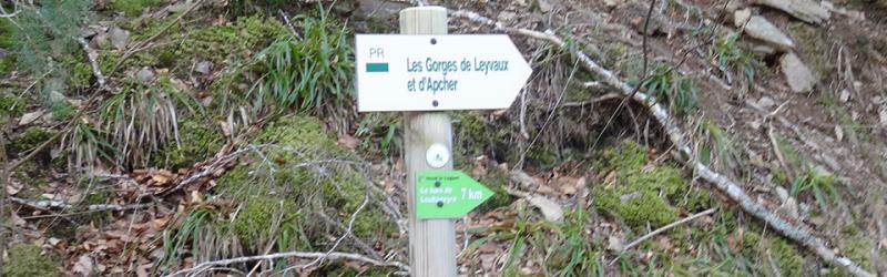 Leyvaux